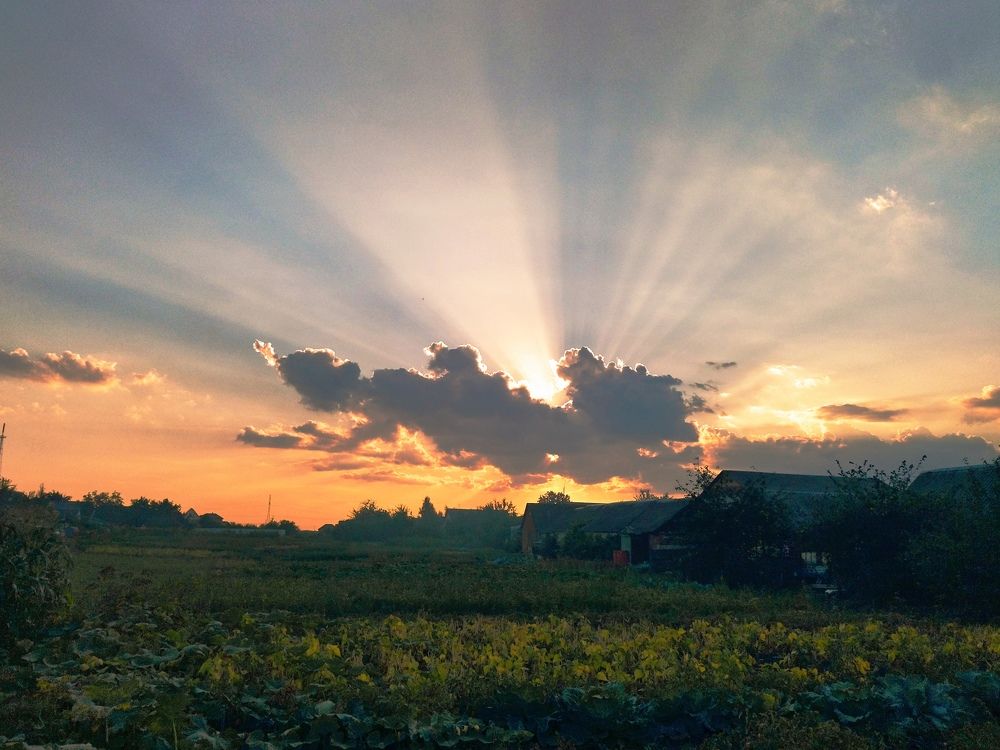 Photograph by Людмила Прибылова