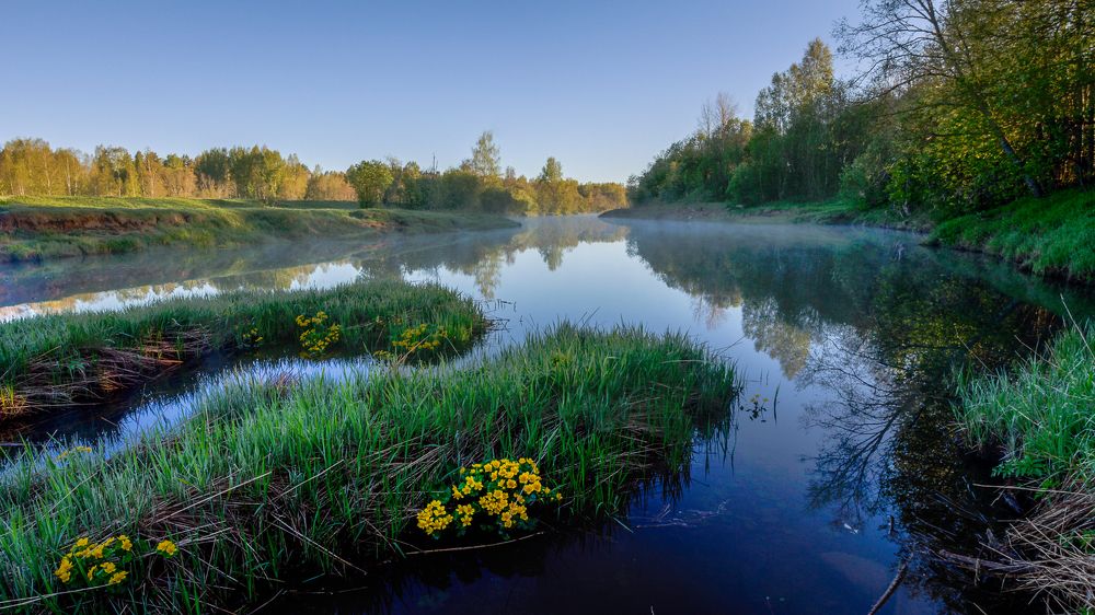 Photograph by Vera Komarova