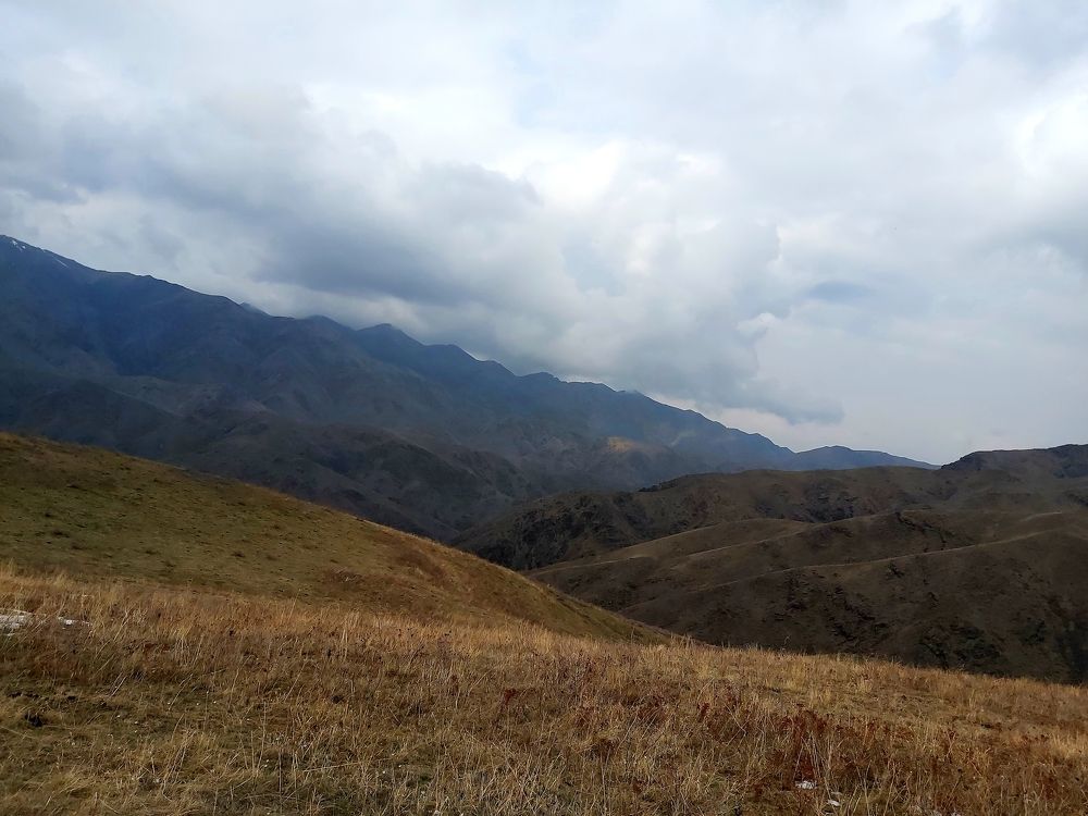 Photograph by Сергей