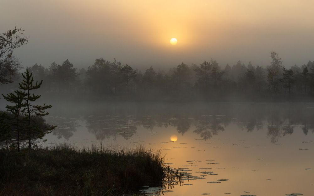 Photograph by Vera Komarova