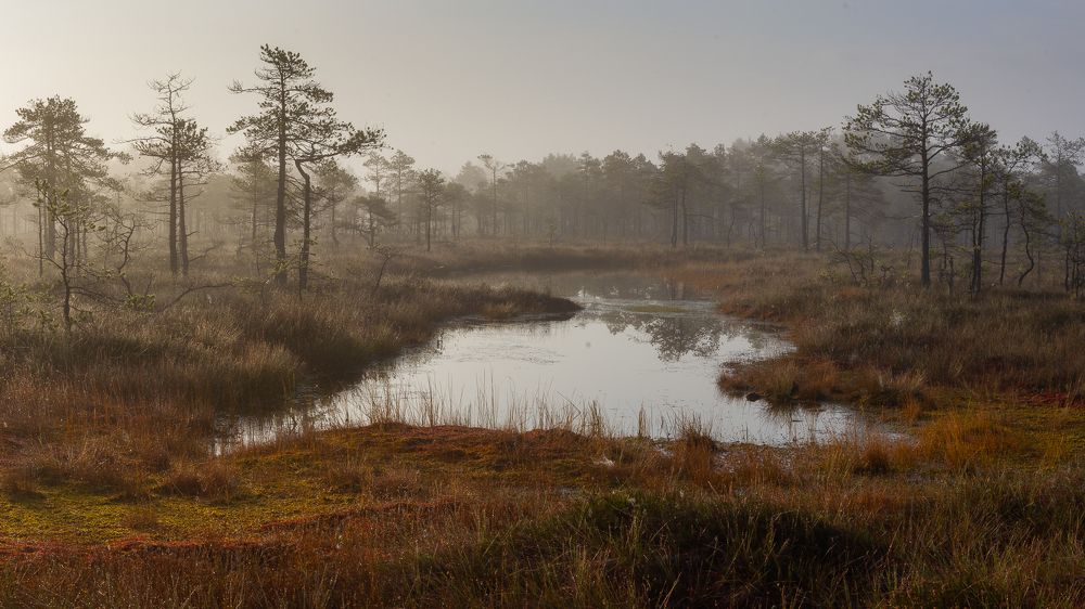 Photograph by Vera Komarova