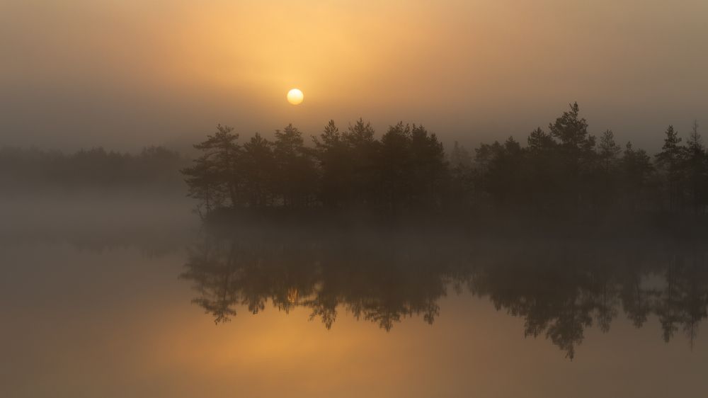 Photograph by Vera Komarova