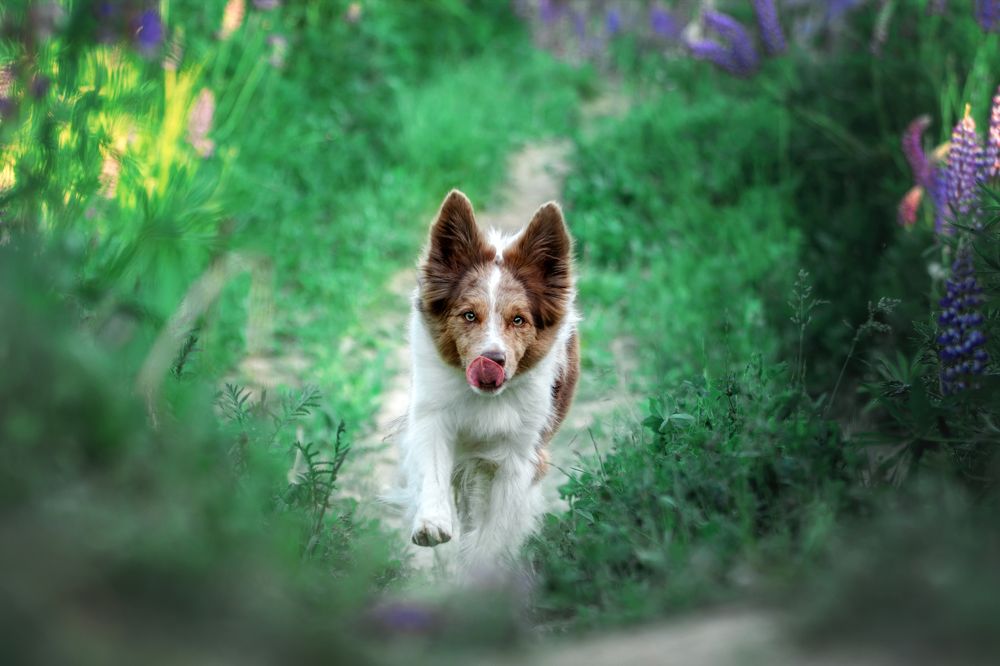 Photograph by Зубкова Юлия