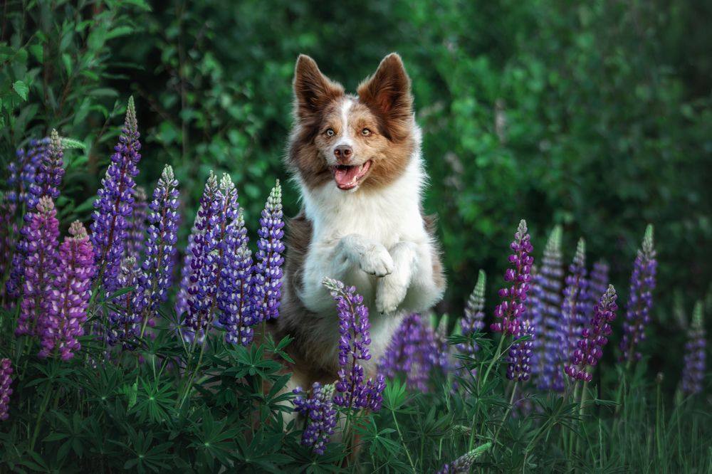 Photograph by Зубкова Юлия