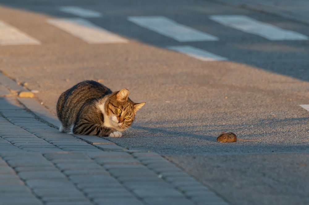 Photograph by Гайдук Евгений