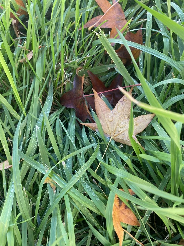 Photograph by Екатерина Прядко