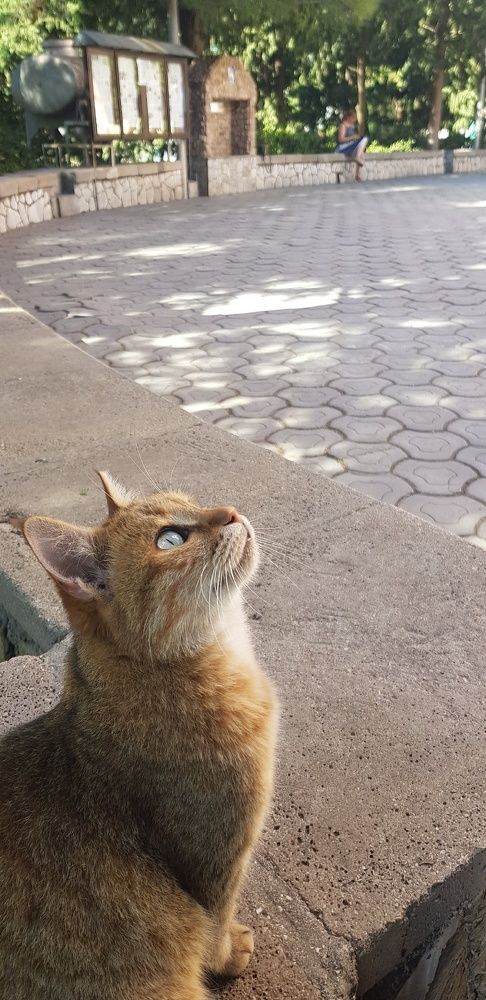 Фотография автора Ольга Мусина