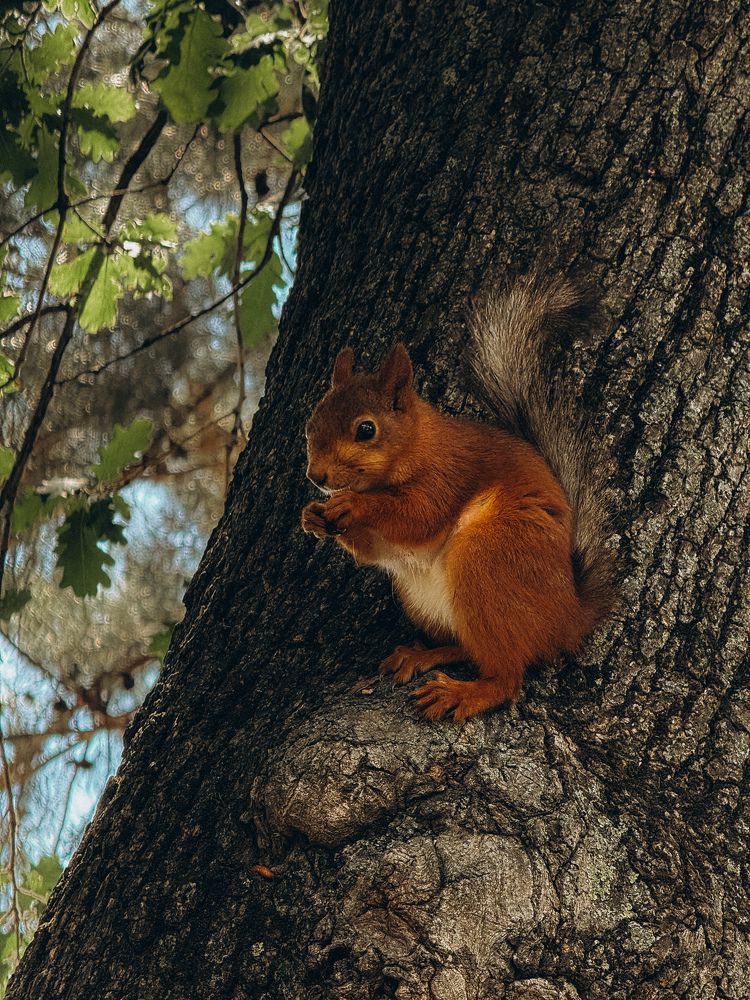 Photograph by Аленa Пономарева
