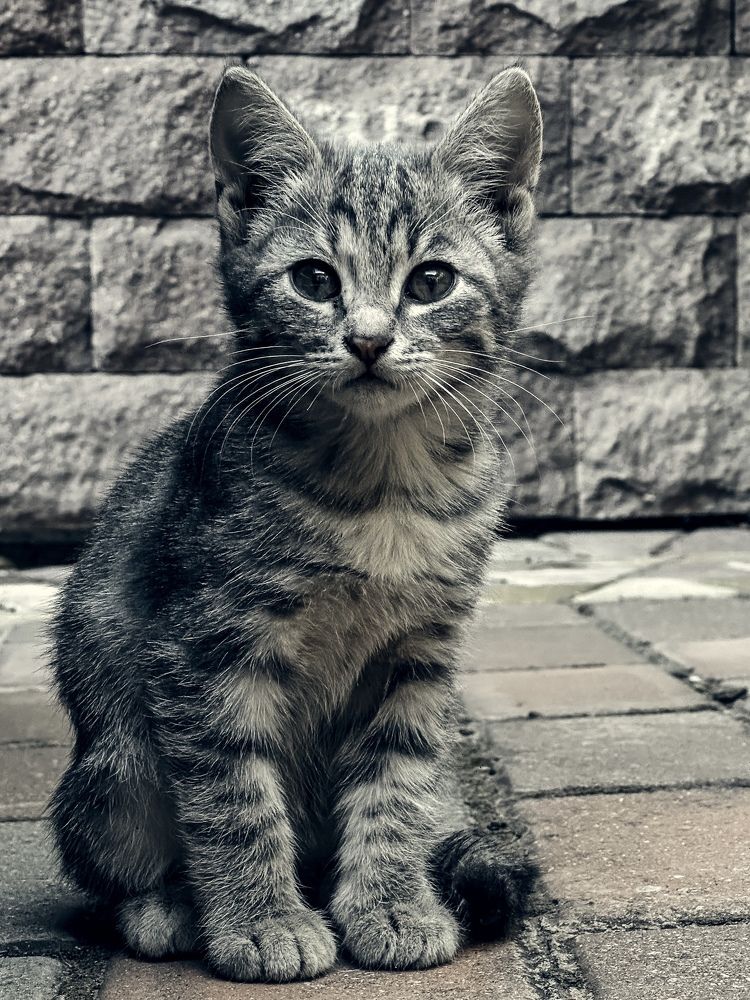 Photograph by Аленa Пономарева