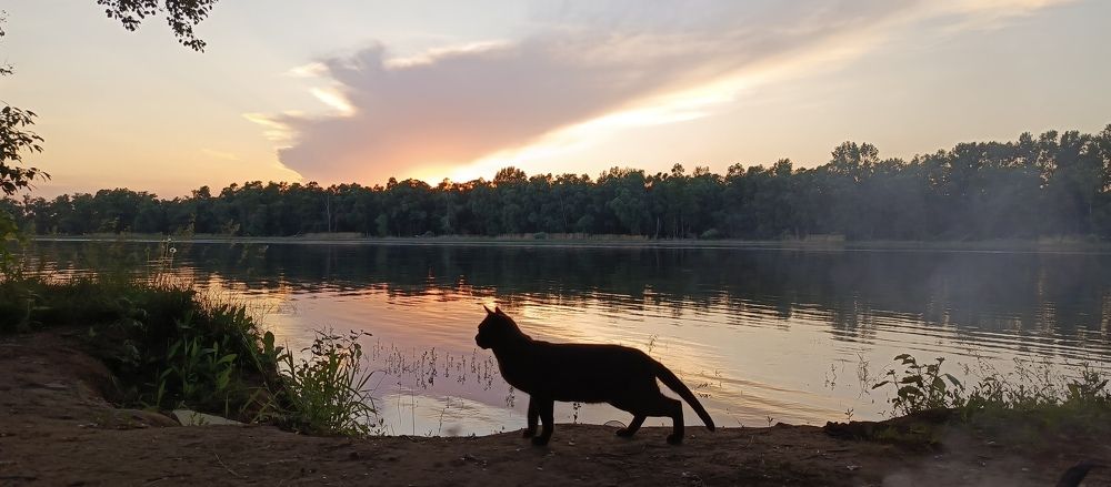 Photograph by Галина Сабитова