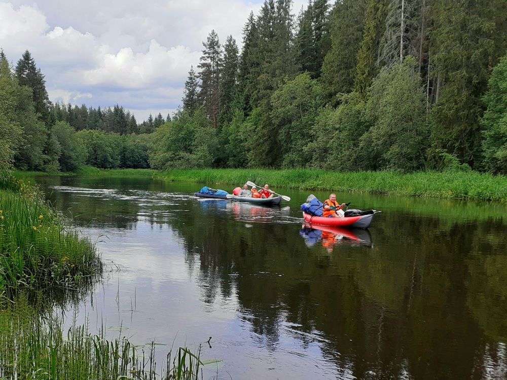 Photograph by Юрий Пучков
