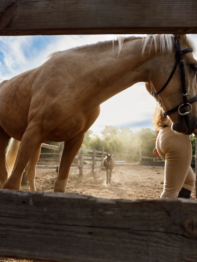 Фотография автора Эльвира Грызлова