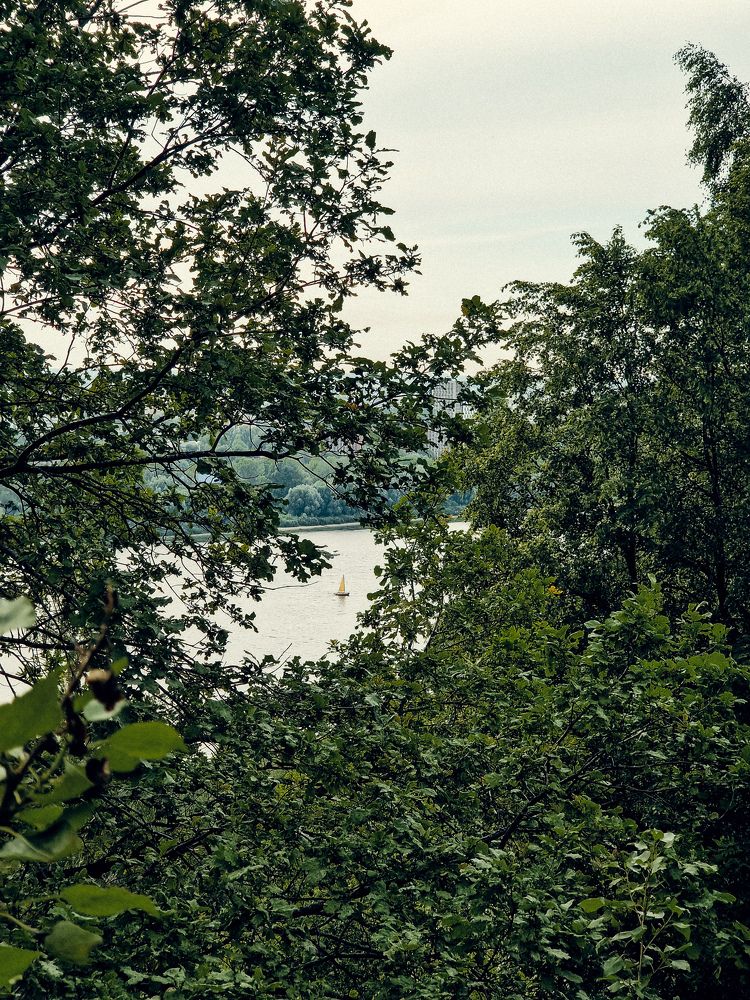 Photograph by Елена Семкина