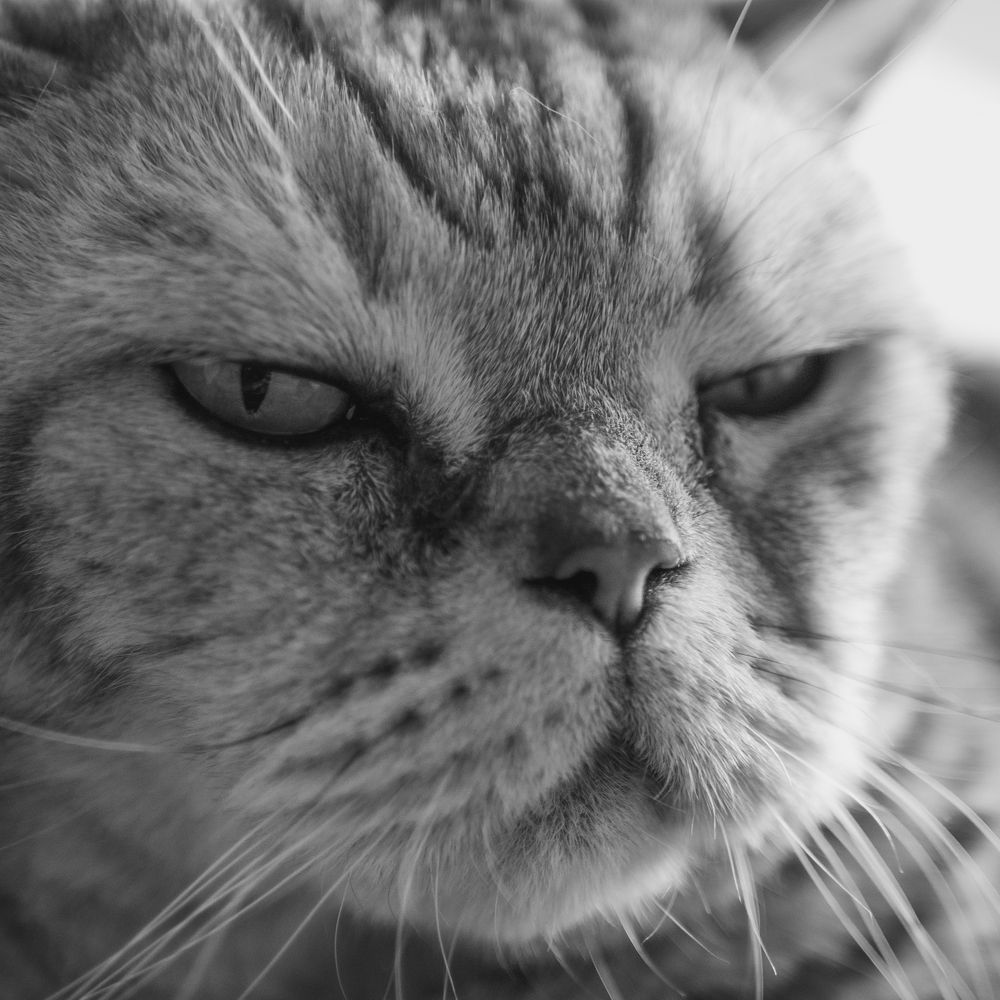 Photograph by Роман Суковач