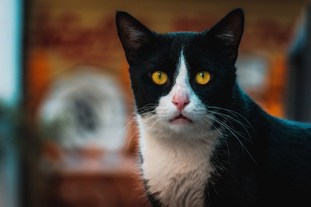 Photograph by Robert Fülöp