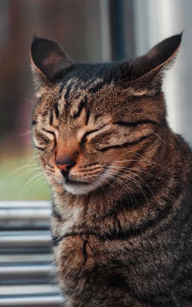 Photograph by Robert Fülöp