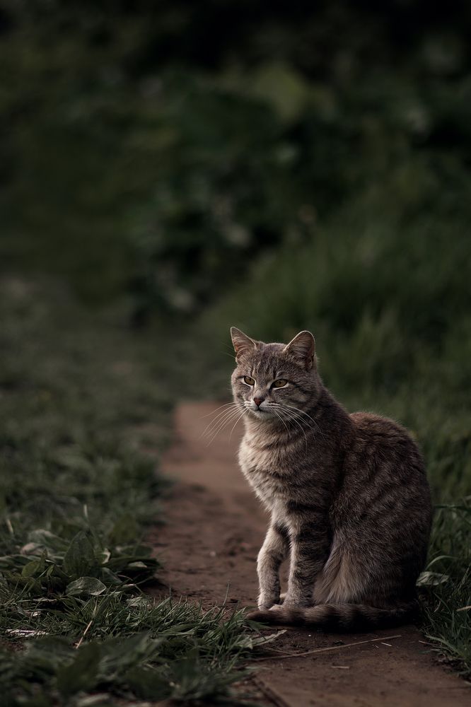 Photograph by Наталья Золотарева