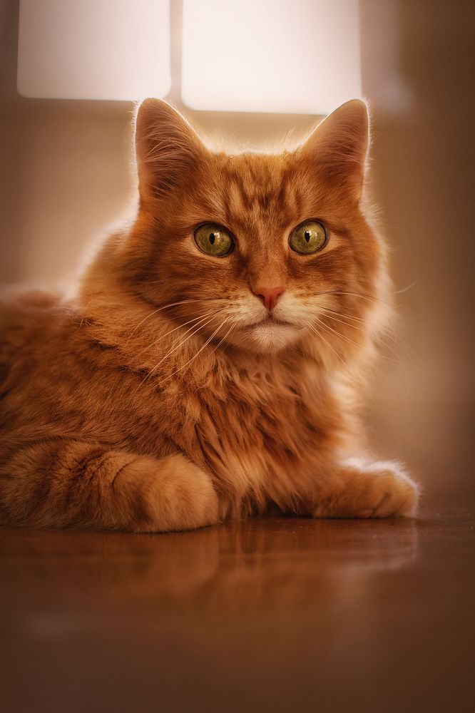 Photograph by Наталья Золотарева