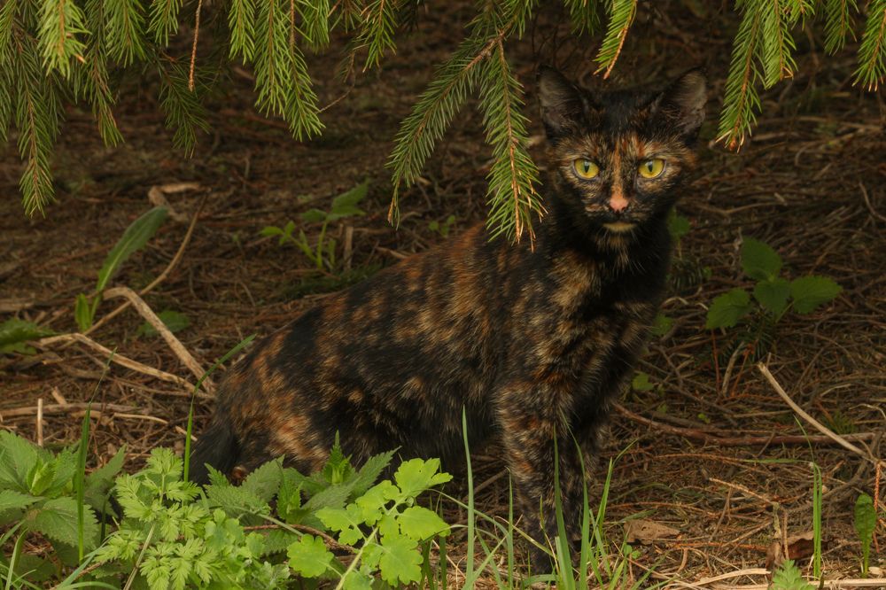 Photograph by Владислав Капанов