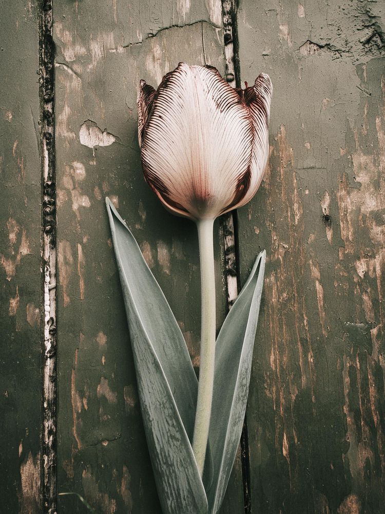 Фотография автора Michael Cheung