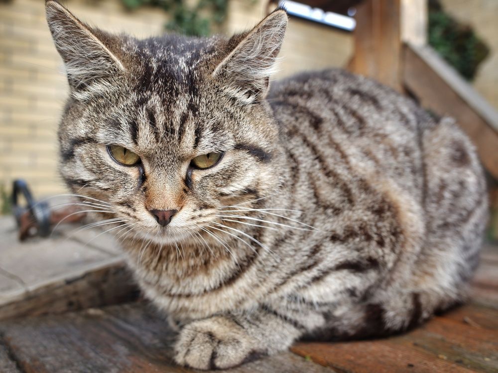 Photograph by Зорин Миша