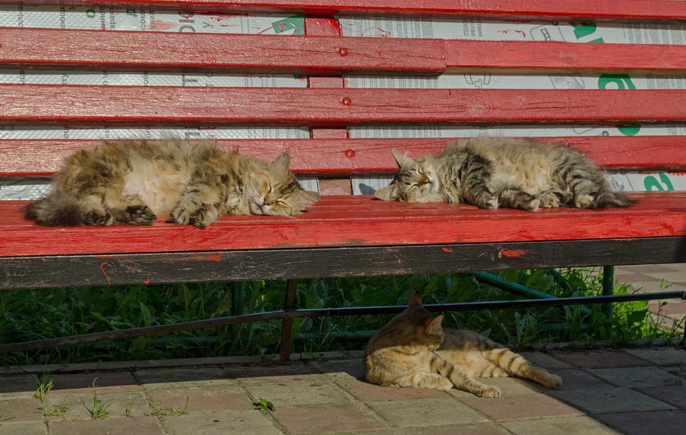 Photograph by Гайдук Евгений