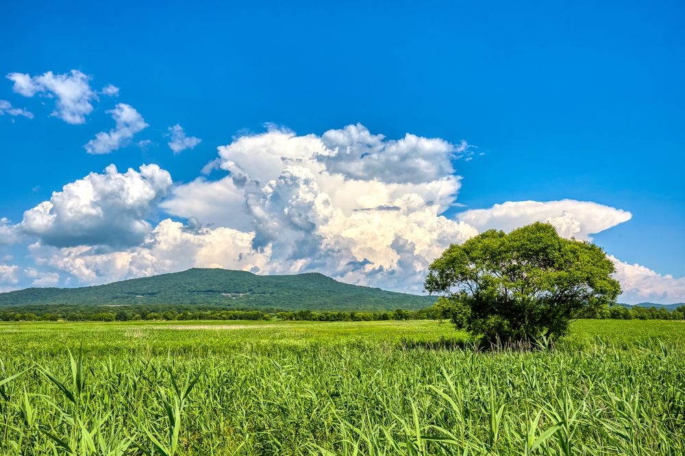 Photograph by Игорь Ковалёв