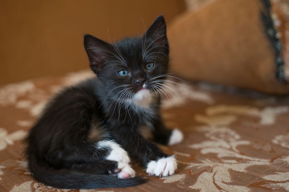 Photograph by Оксана Артимович