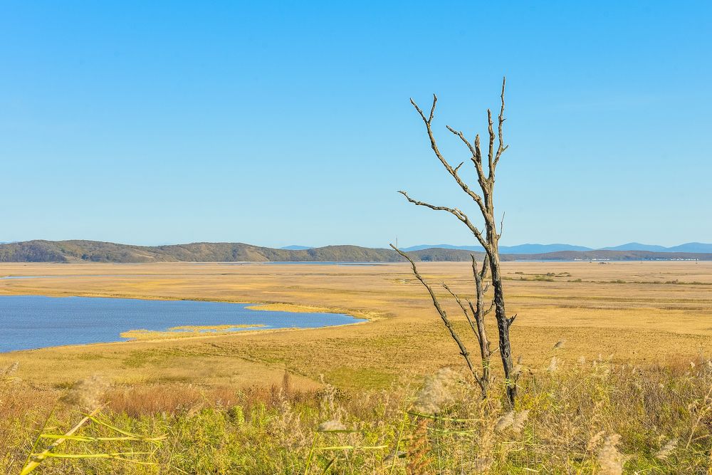 Photograph by Игорь Ковалёв