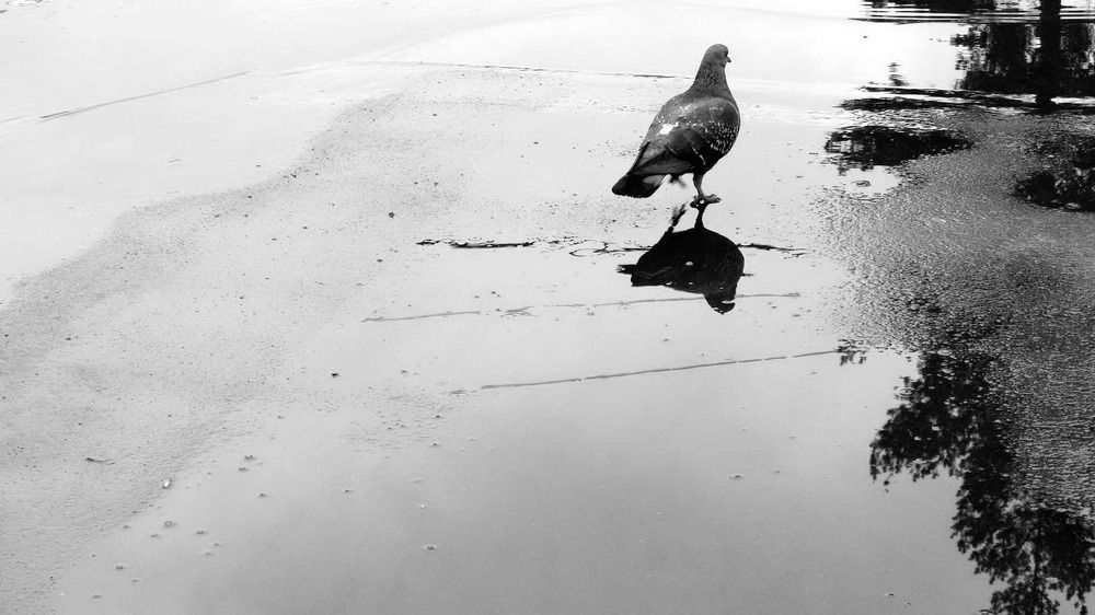 Фотография автора Дмитрий Андреевич