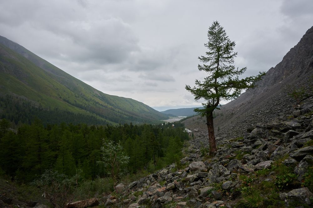 Photograph by Сергей Анисимов