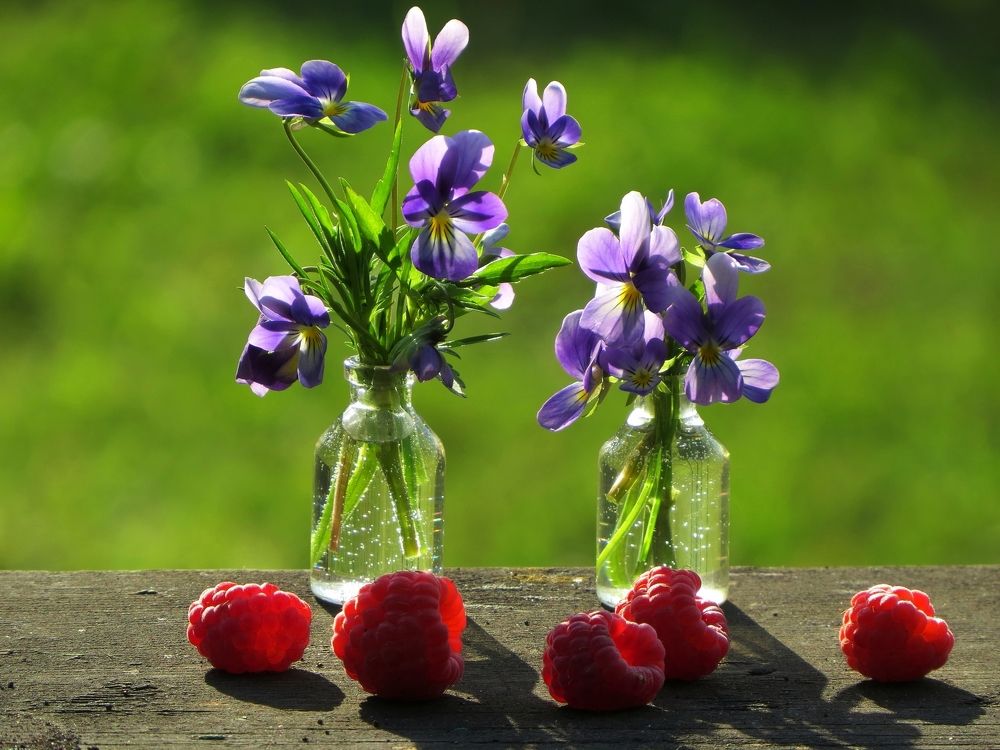 Натюрморт с фиалками