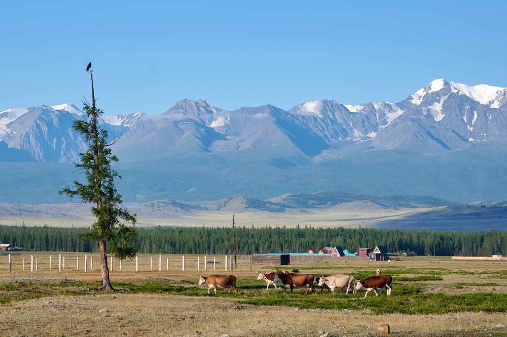 Photograph by Сергей Анисимов