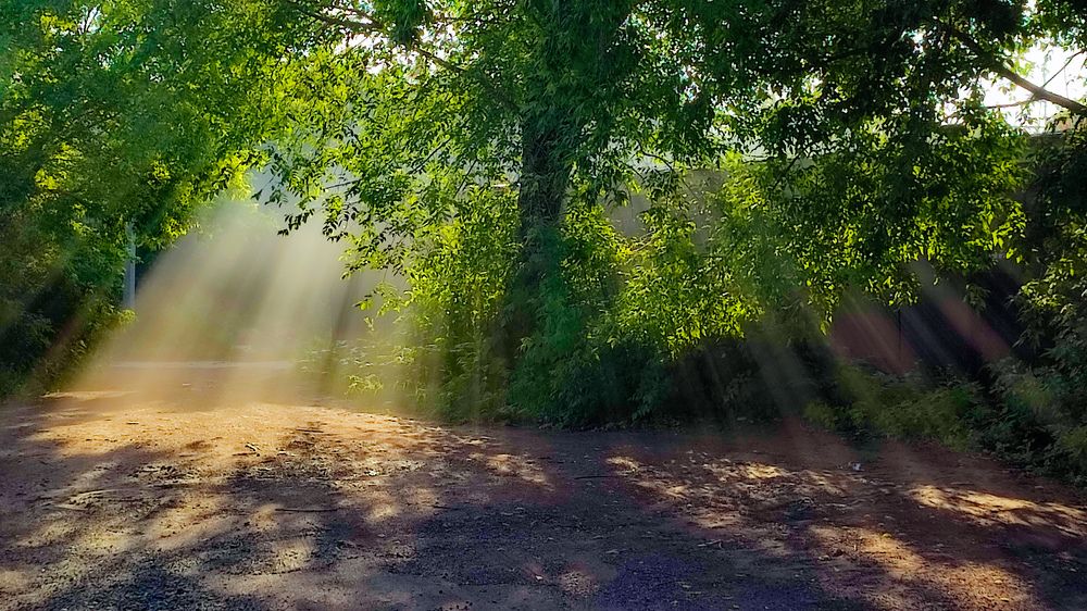 Photograph by Андрей Фадеев