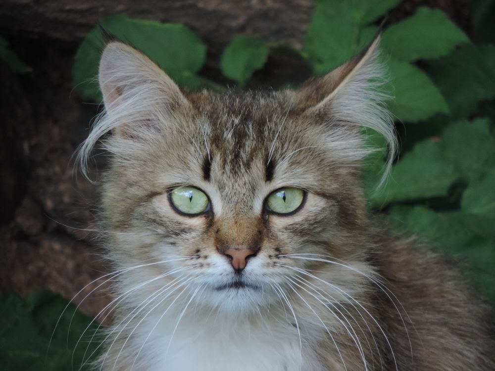 Photograph by Дмитрий Руднов