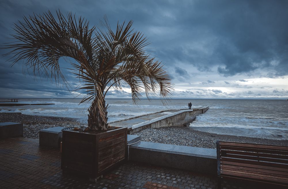 Photograph by Кривенко Владимир