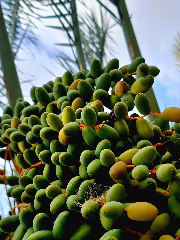 Photograph by Himesh Soni