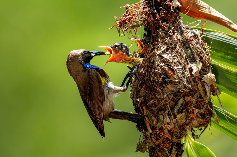 Фотография автора Le Huy Vu