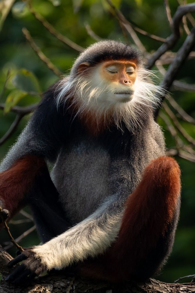 Фотография автора Le Huy Vu