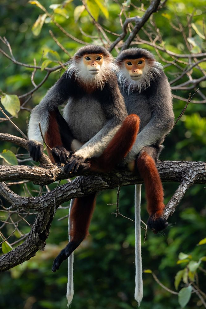 Фотография автора Le Huy Vu