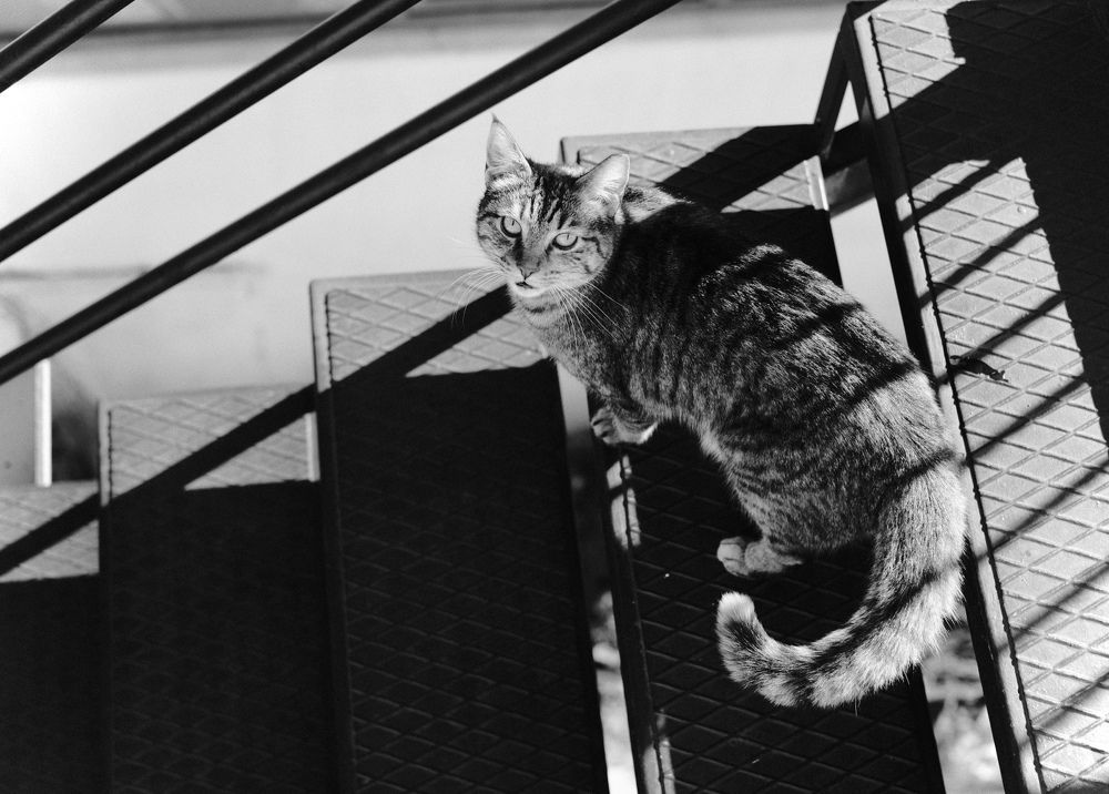 Photograph by Misha Khazov