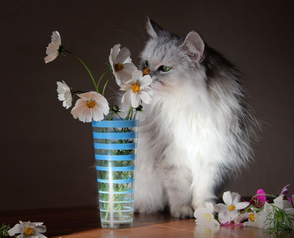 Photograph by Зоя Быкова