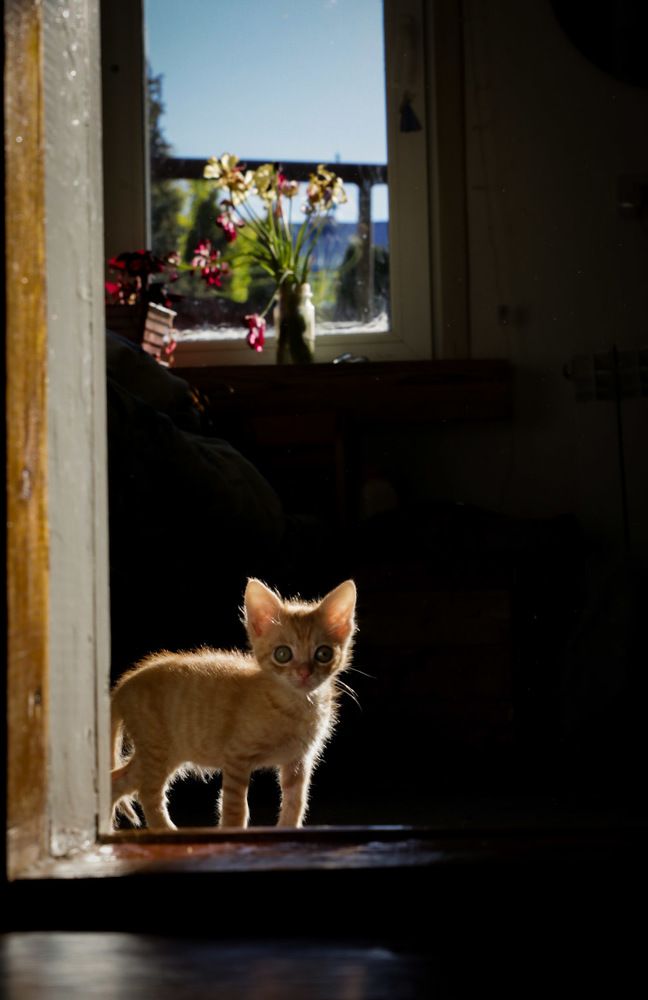 Photograph by Анна Озякова