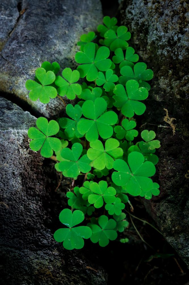 Photograph by asma dafeian