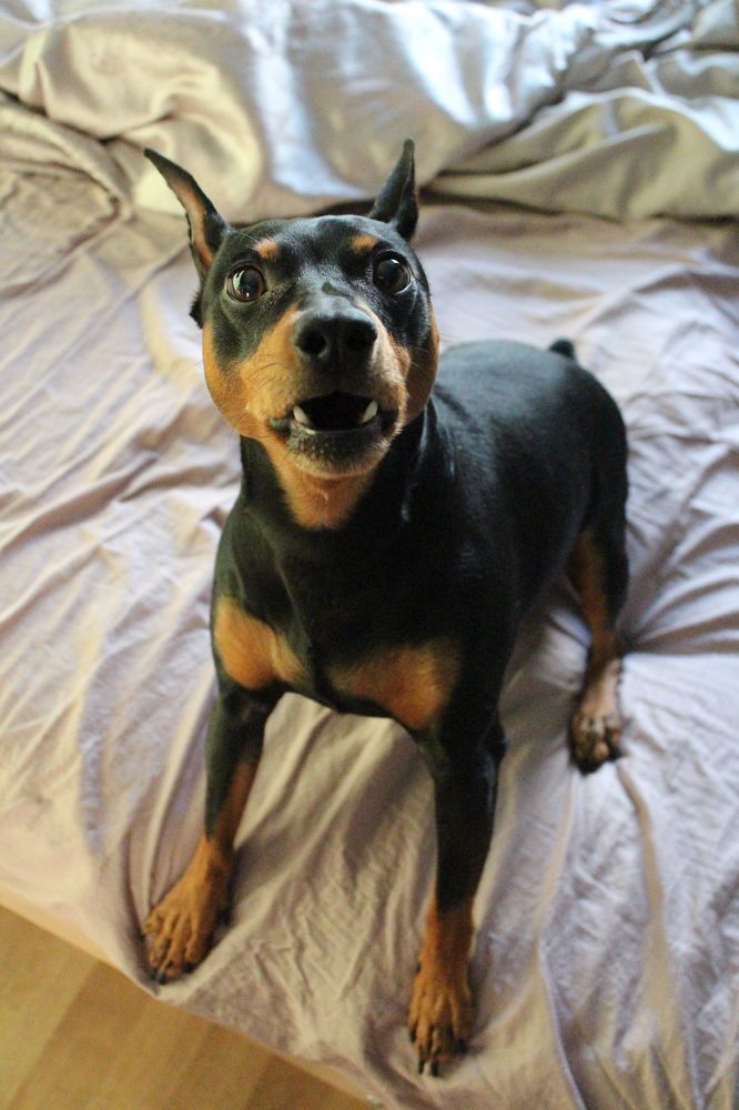 Фотография автора Яна Сергеева