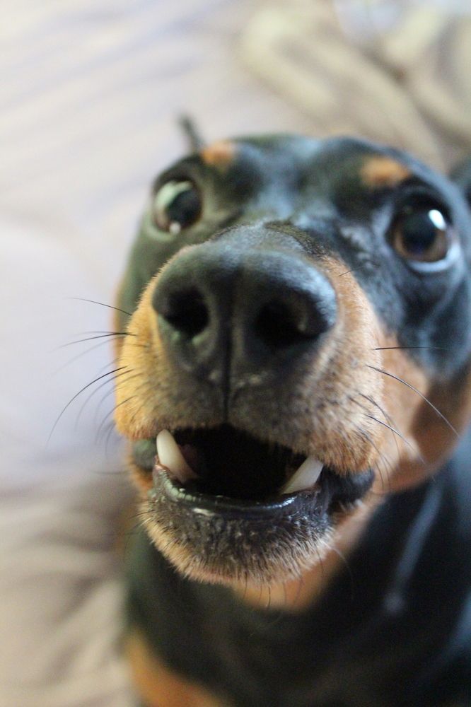 Фотография автора Яна Сергеева