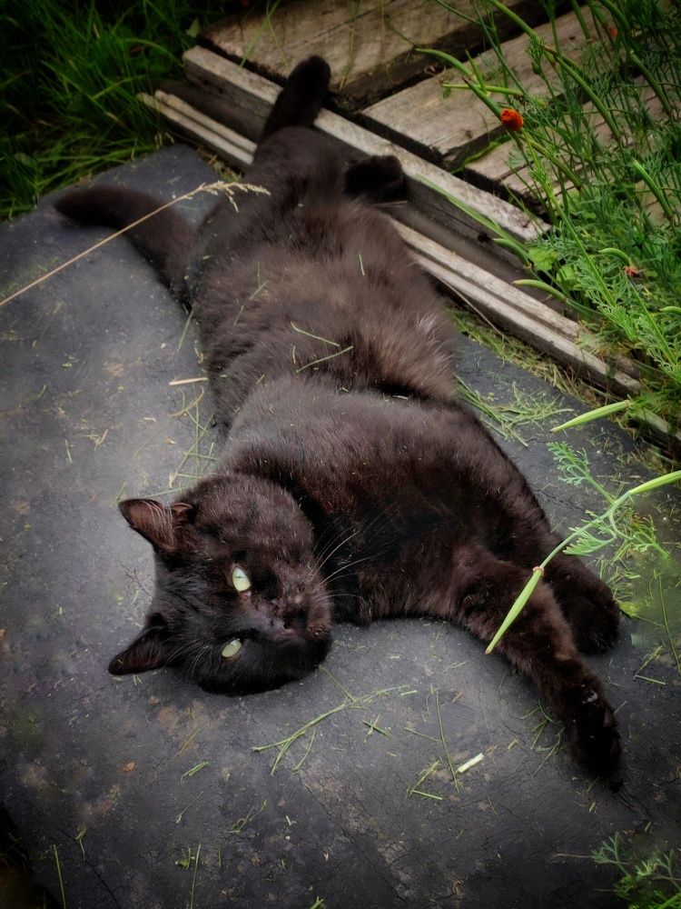 Photograph by Anastasia Malyukova