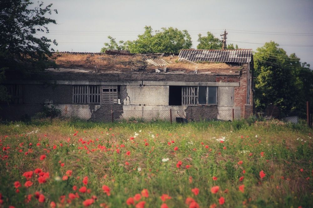 Фотография автора Таня Долгушева