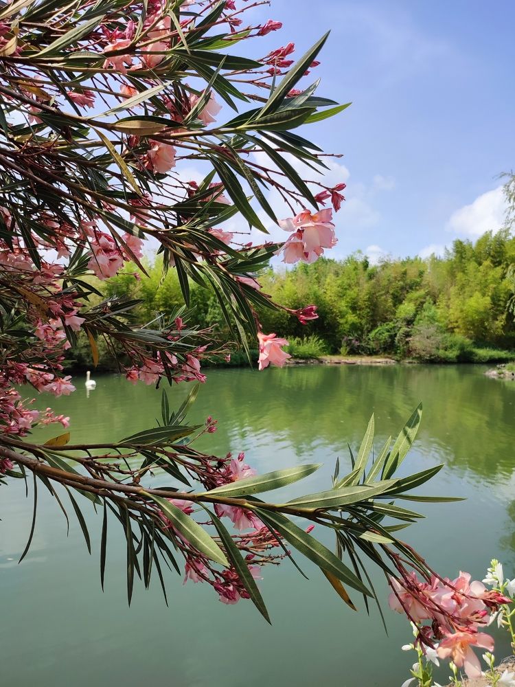 Photograph by Татьяна