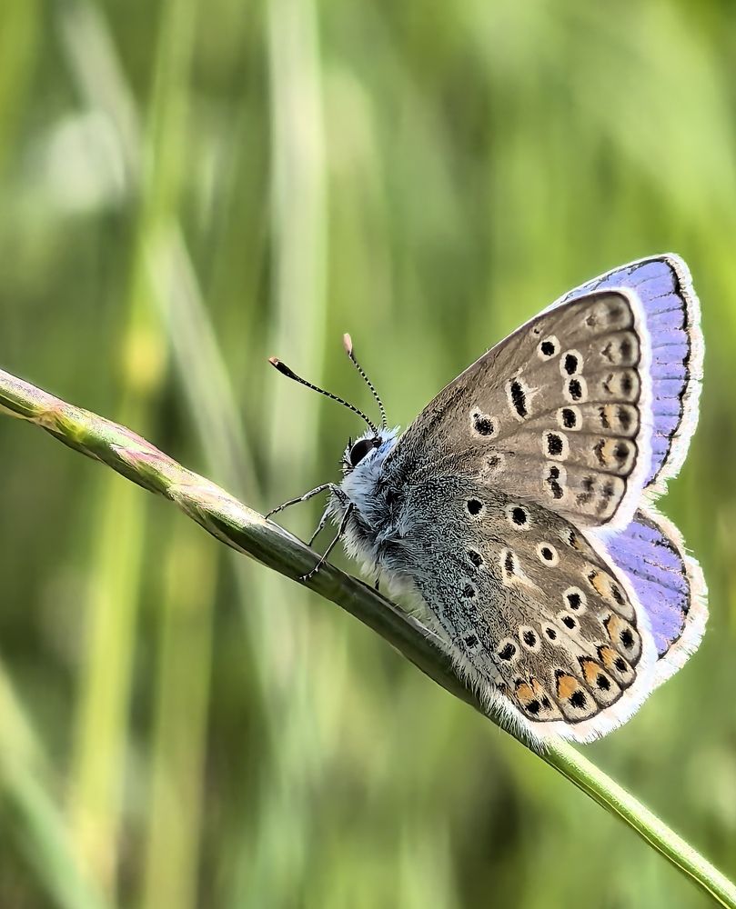 Фотография автора Юра Кладухин